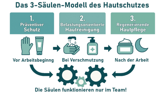 Infografik des 3-Säulen-Modells für Hautschutz: Zeigt die Schritte Präventiver Schutz, Hautreinigung und Hautpflege als Kreislauf, der nur im Team funktioniert.